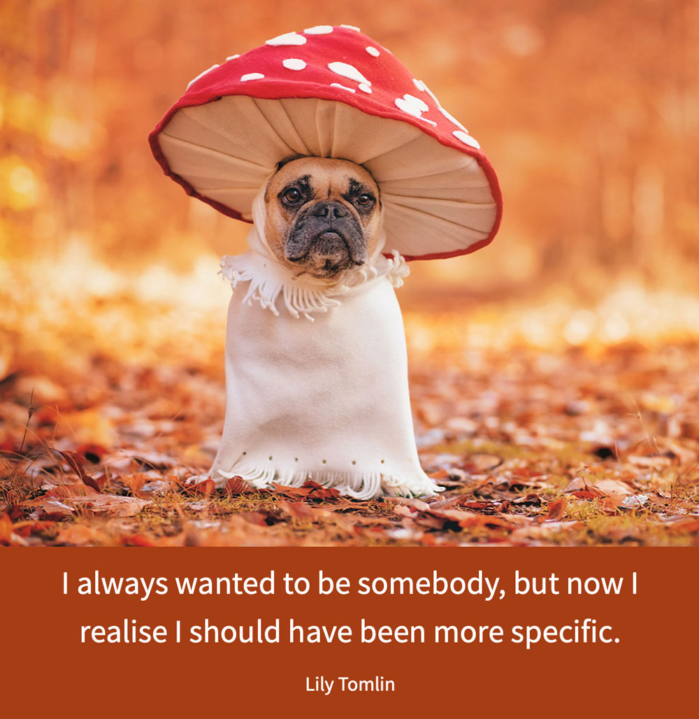 Cute dog dressed asa mushroom with quote underneath