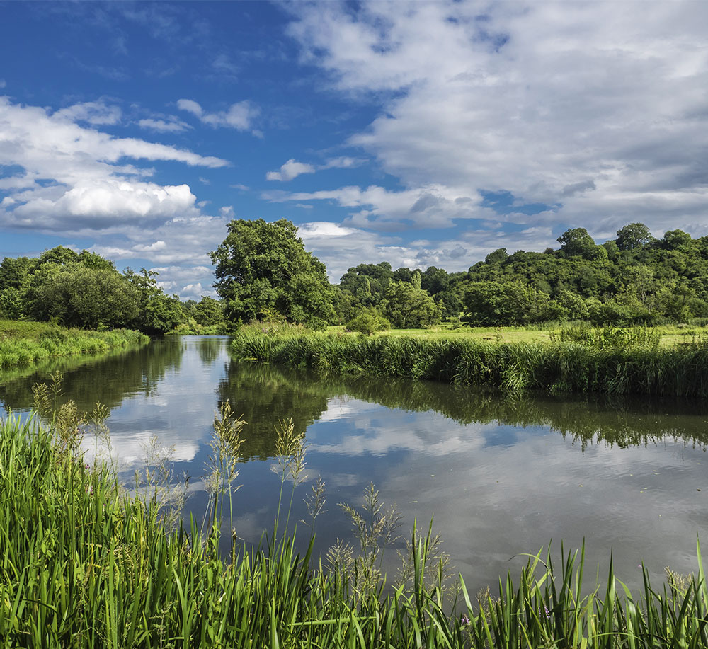 River Wey Surrey