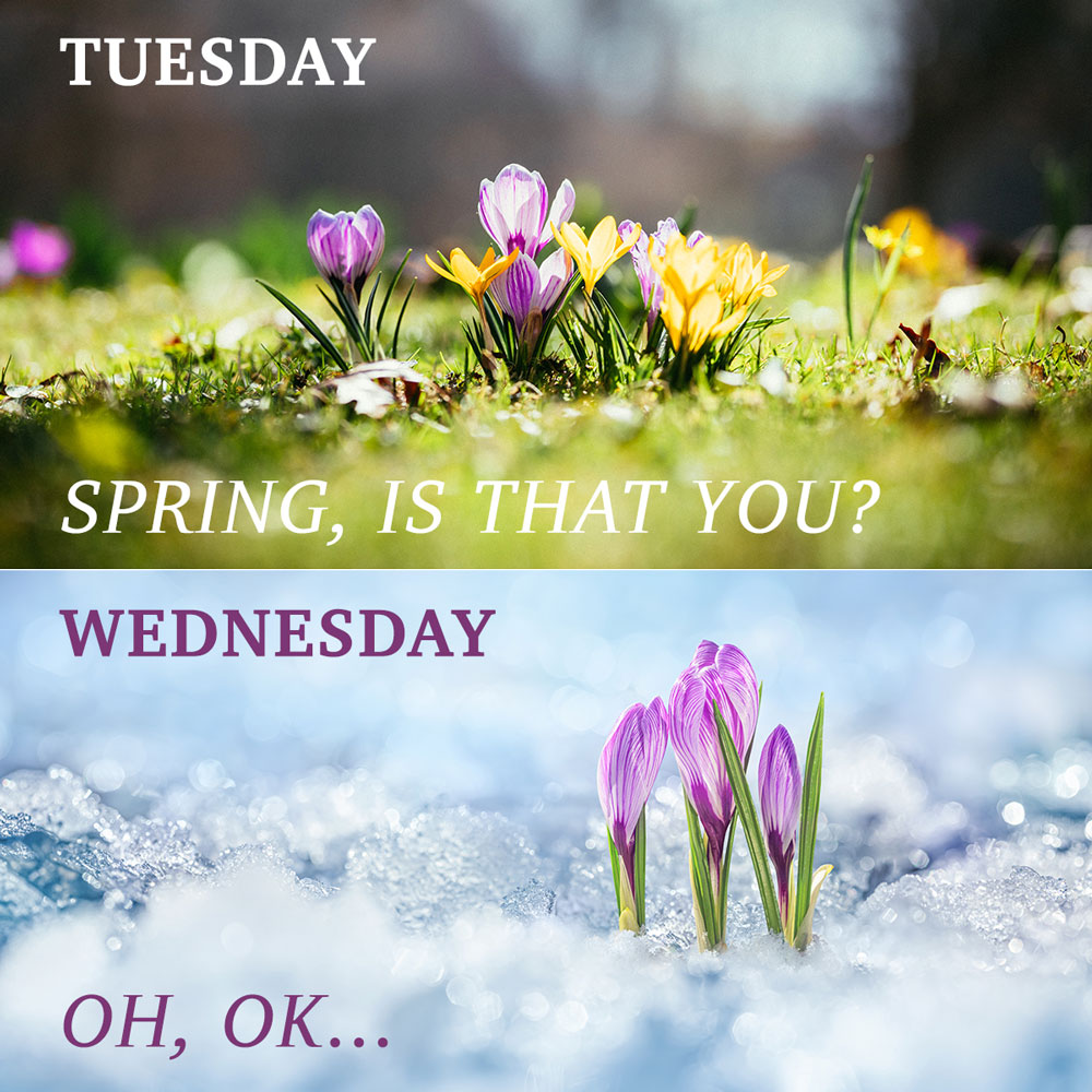 Joke about the Spring weather being changeable